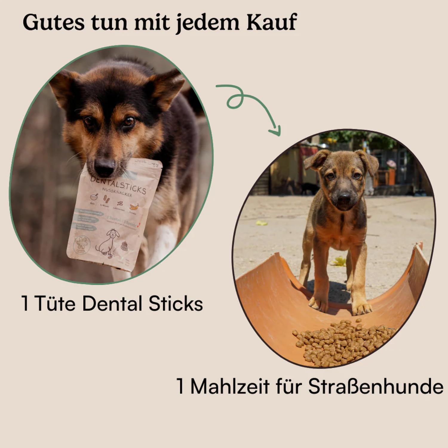 Hunderunde – Zahnfee Dental Sticks 42 STK – vegane Zahnpflege für Hunde – mit Apfeltrester & Pfefferminze – gegen Zahnstein & Maulgeruch – getreidefrei – Hundesnack für tägliche Zahnpflege
