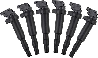 0221504470 Ignition Coil Packs for BMW X3 X5 X6 328xi 328i 325i 325Ci 330Ci 335i 525i 528i 535i M5 M6Z4 Replaces 12137594937 12137594937 12137562744 12137571643 Coil Packs 6 Pcs