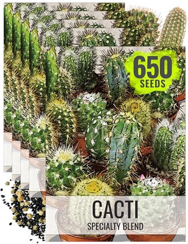 Seed Needs, Mixed Cacti/Cactus Seeds - 130 Seeds for Planting