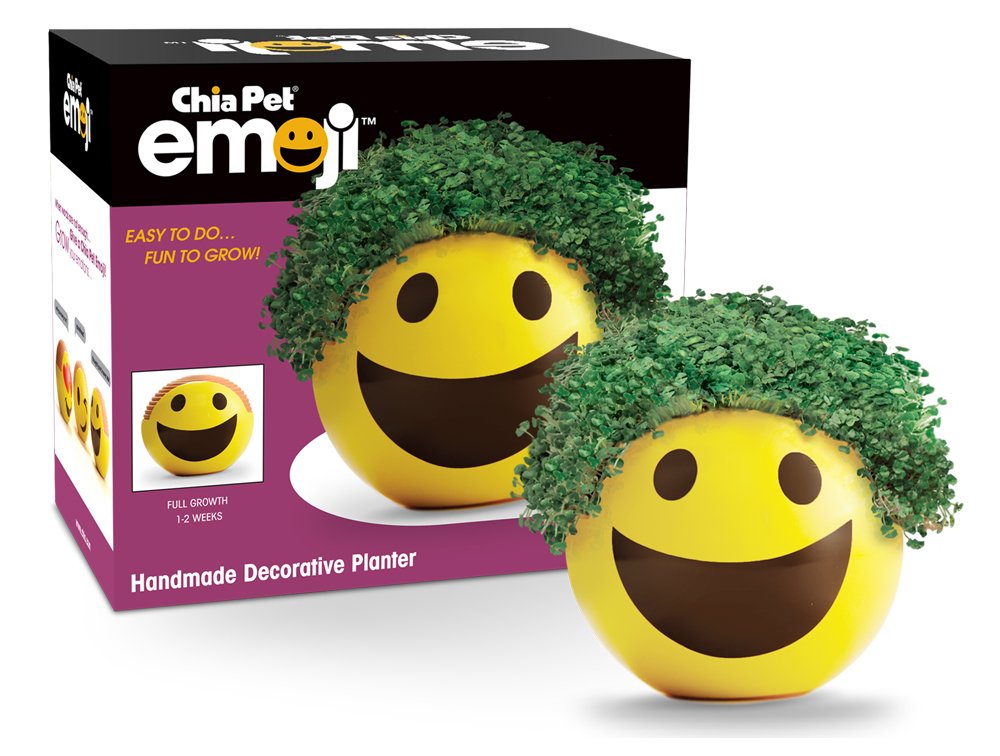 Smiley : Chia Emoji Smiley Handmade Decorative Planter, Yellow