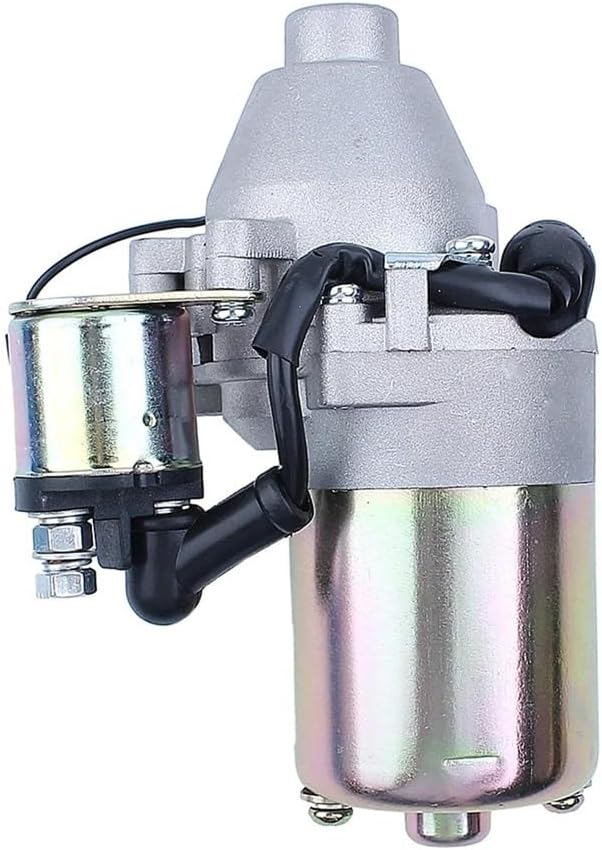 Lawn Mower Starter Motor with Valve Fit for GX160 GX200 5.5HP 6. Engines 31210-ZE1-023