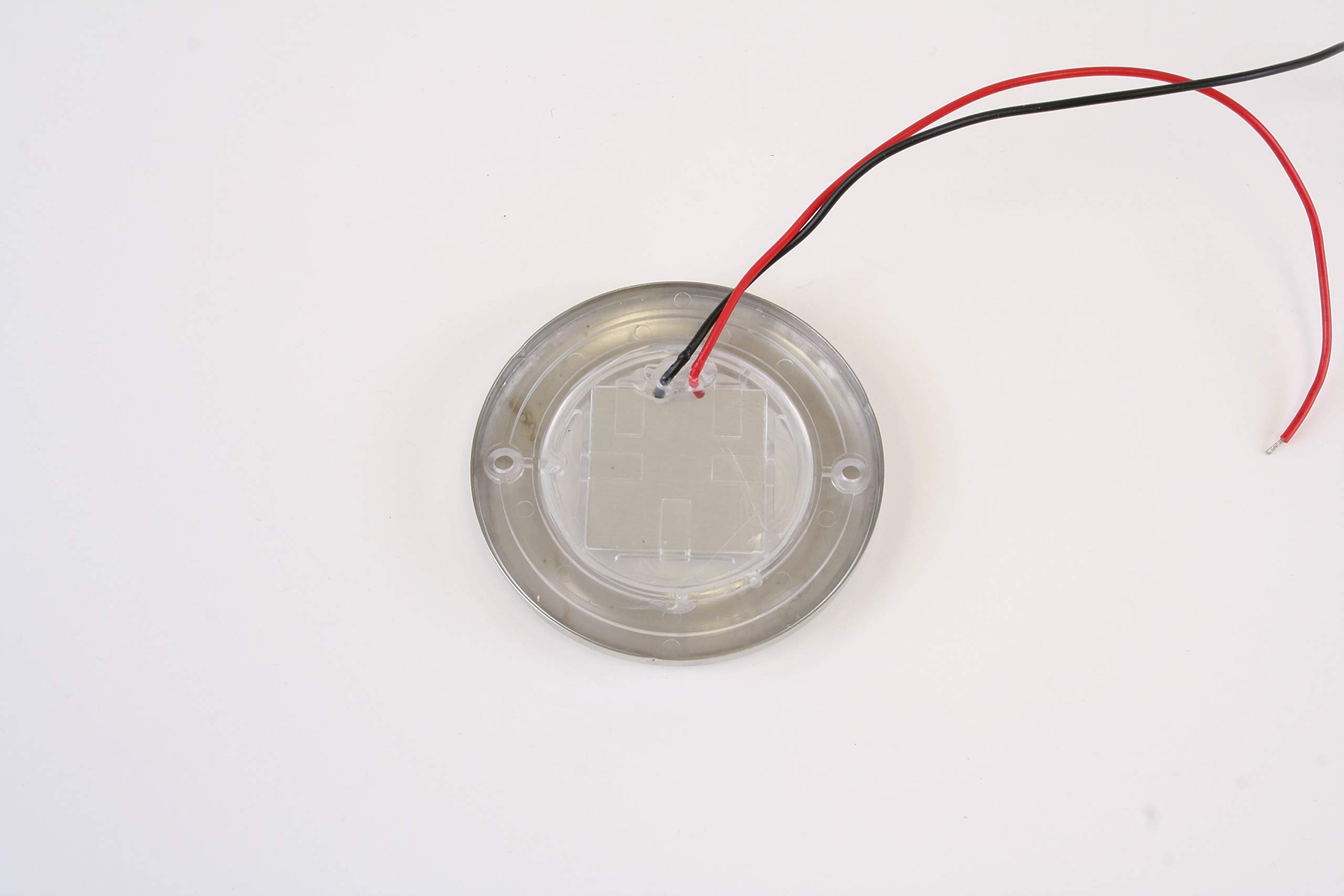 Scandvik B3 Downlight Surface Mount - Cool White - SS Trim - IP67-12/24V