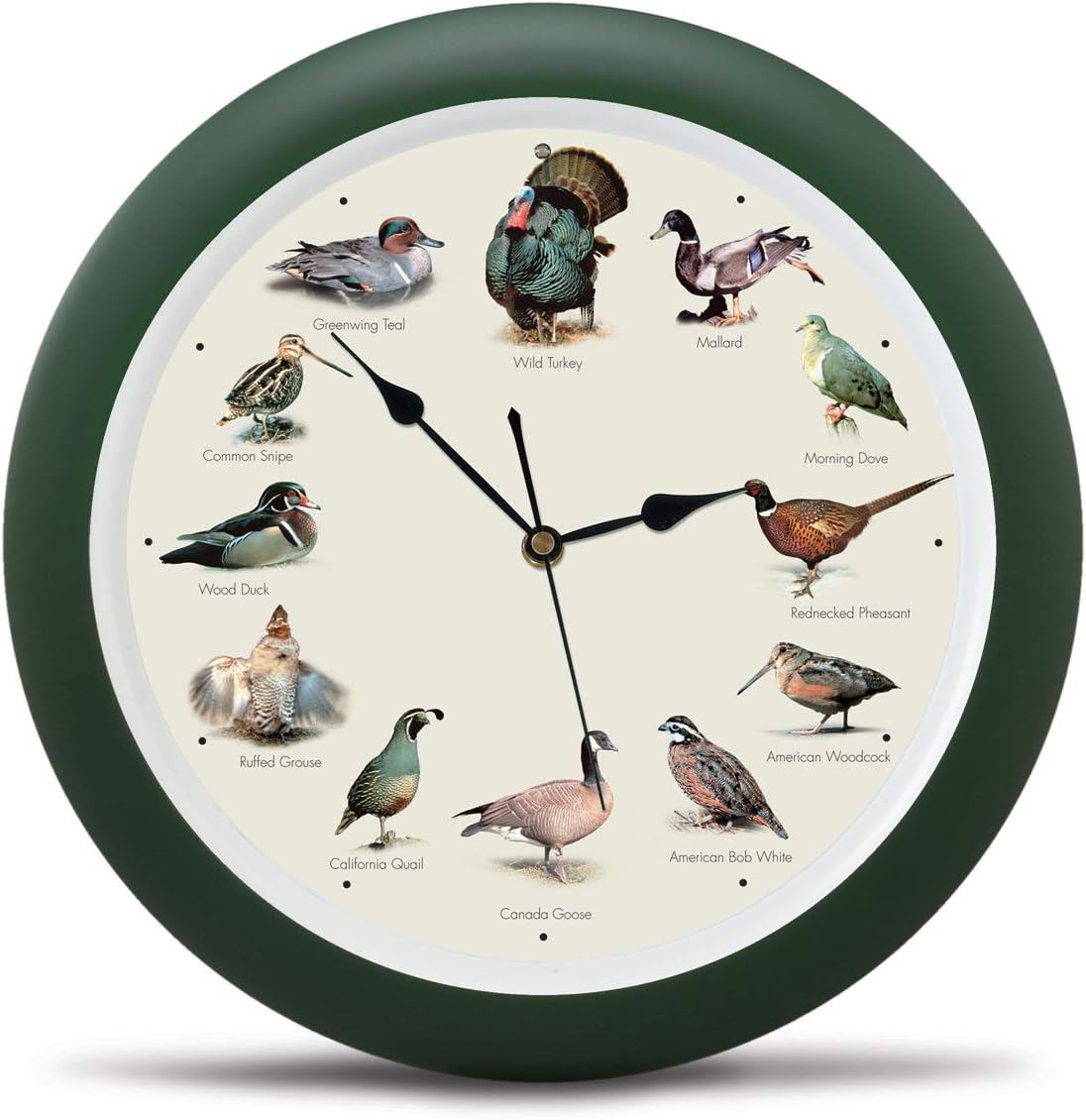 Mark Feldstein, Singing Wild Game Birds of North America Wall Clock, 13 Inch, Green