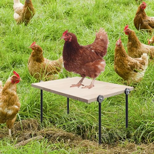 Image of Chicken Perch Toy for Coop, Wooden Chick Roosting Bar with Metal Ground Plug, Coop Accessories for Poultry Rooster Hen Chicks Large Bird Parrot