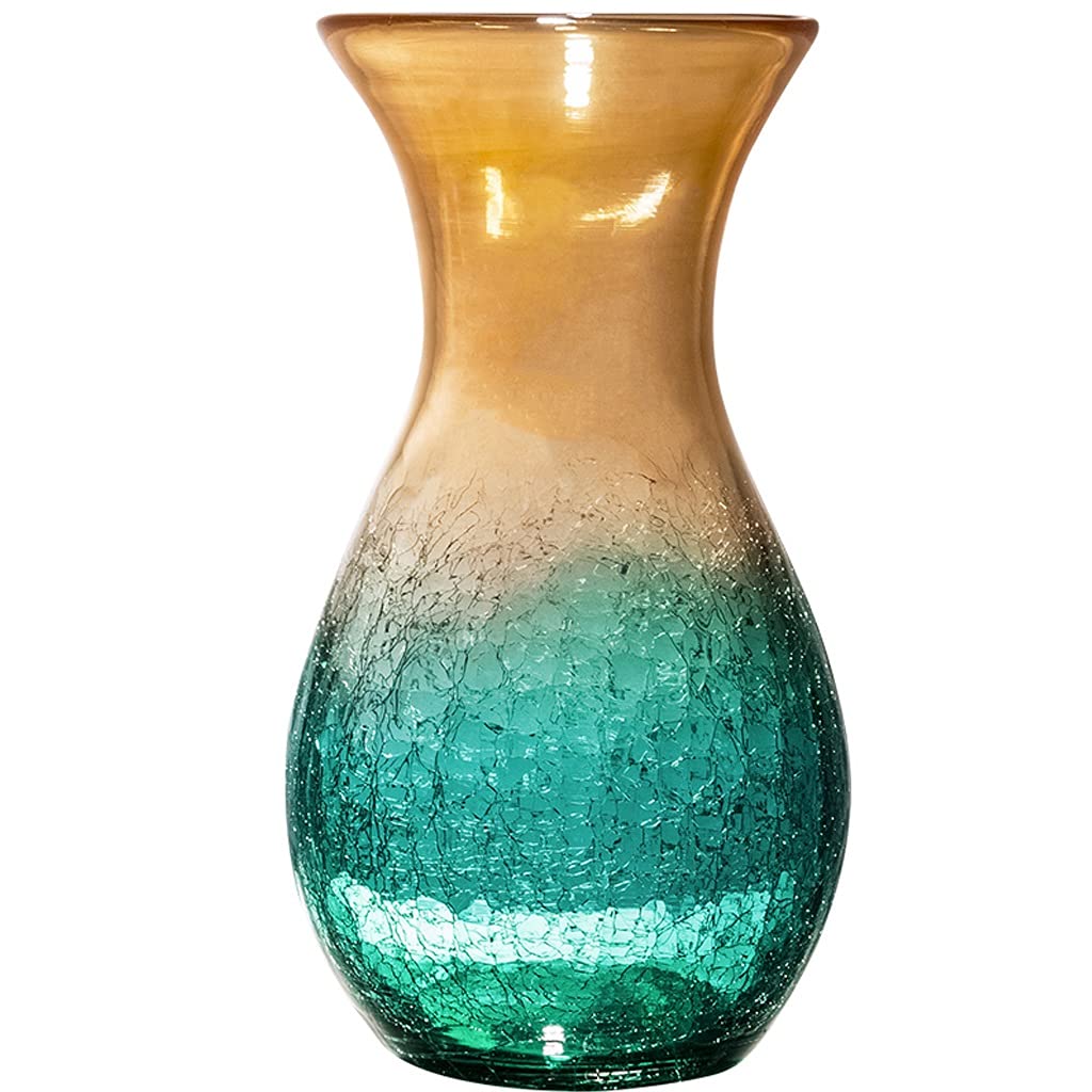 Vase en verre vert 27cm pour sublimer vos fleurs hydroponiques sans effort