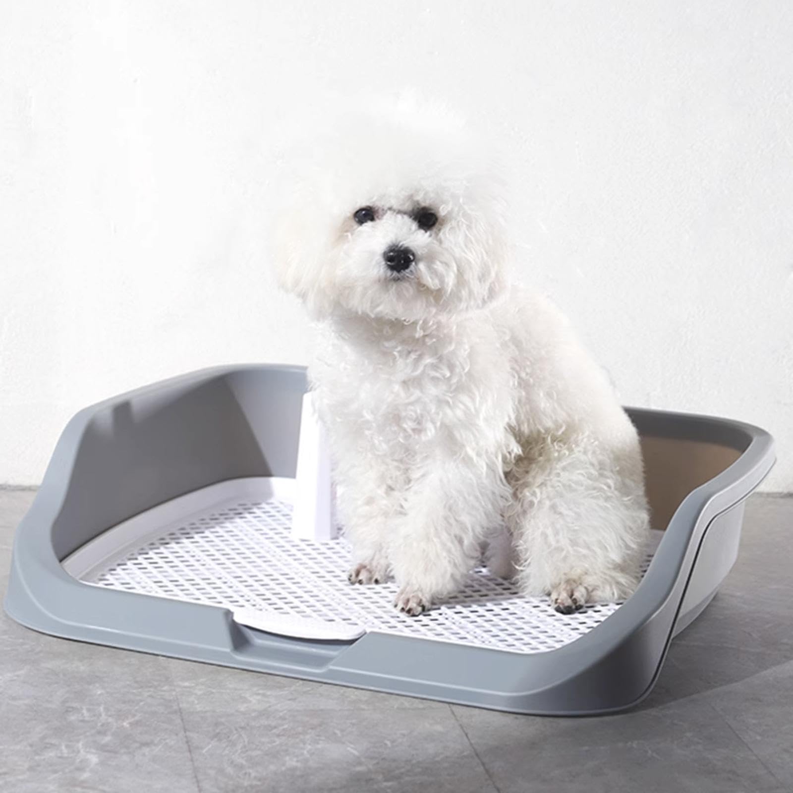 Inodoro Para Perros Bandeja De Entrenaiento Para Perros Con Coluna