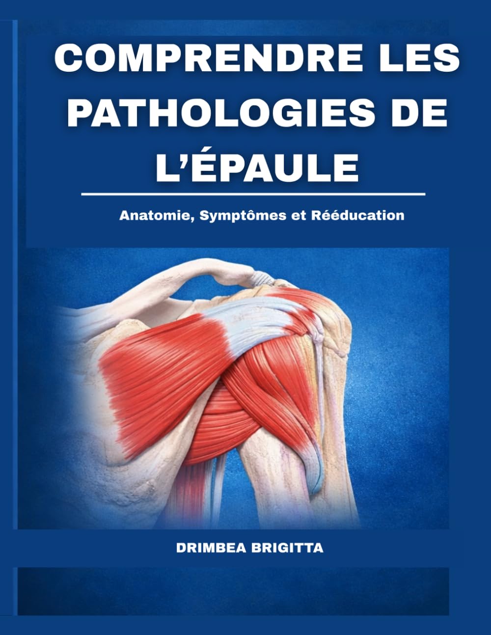 Comprendre les Pathologies de l’Épaule: Anatomie, Symptômes et Rééducation