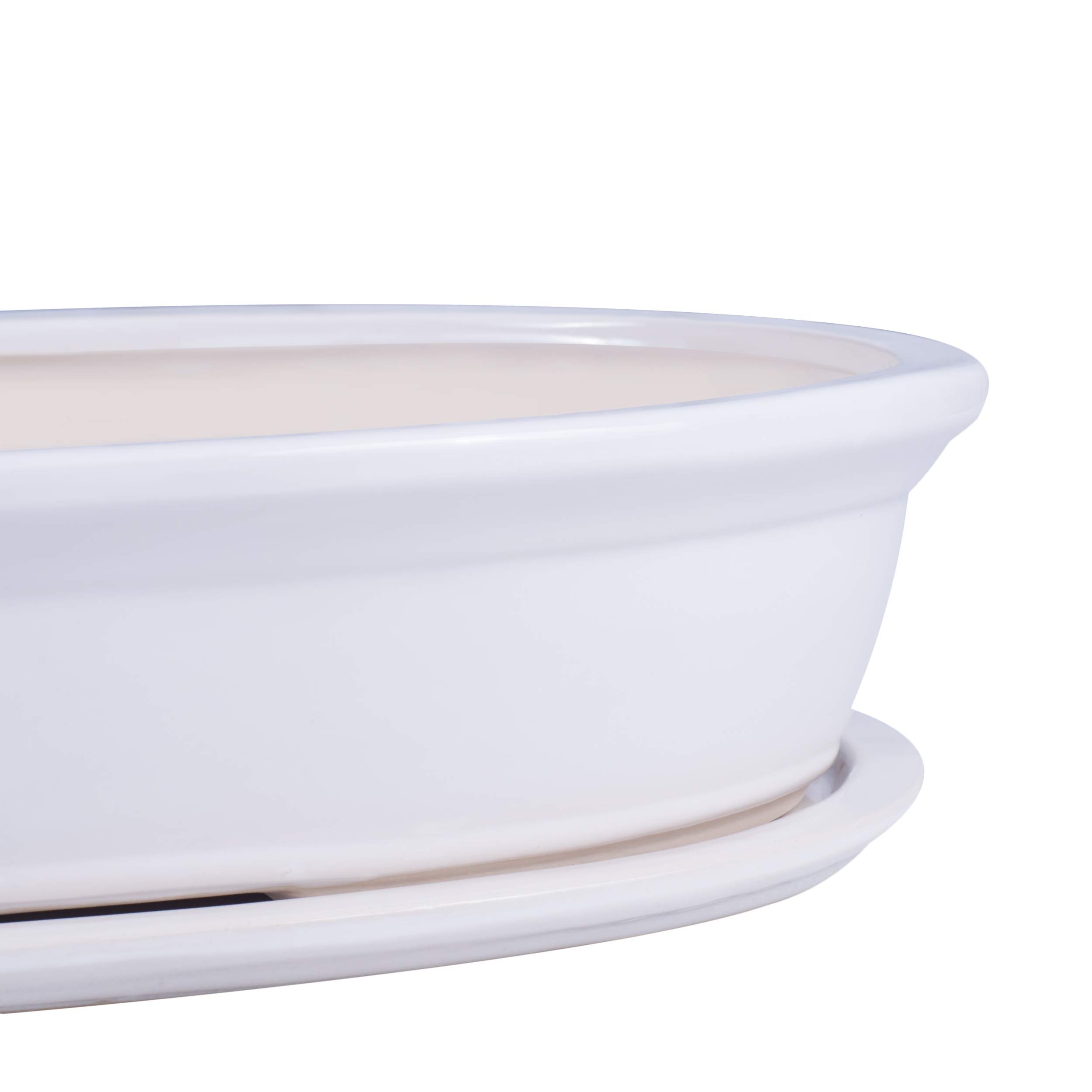 botle Ciotola per bonsai, mini giardino, in ceramica, colore bianco, 6 grandi (50)