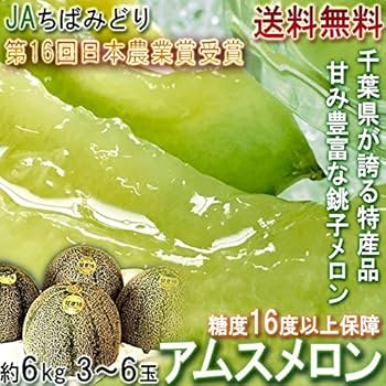 Amazon.co.jp: 銚子アムスメロン 約6kg 3～6玉入り 千葉県産