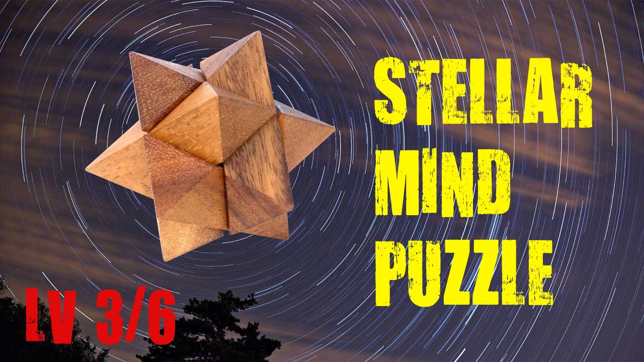 LOGICA GIOCHI Logica Jeux Art. Lion En Cage Casse-tête En Bois