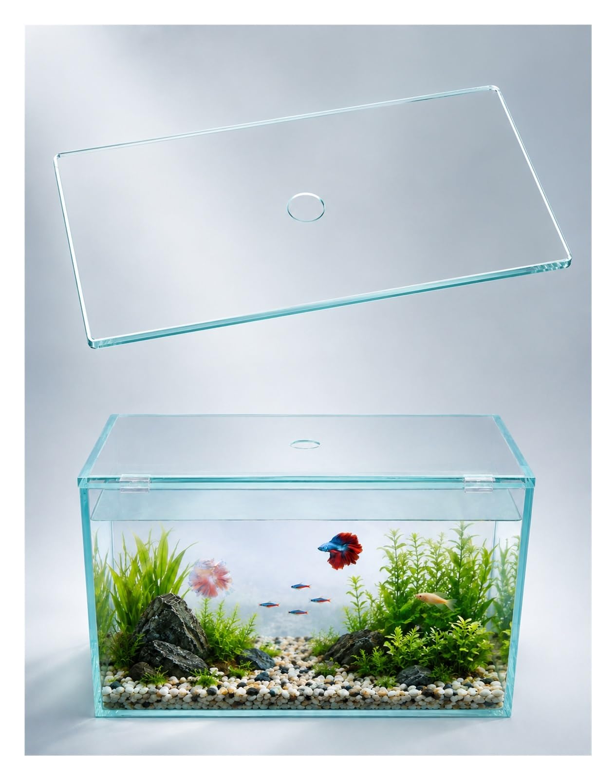 Tapa de Acuario Vidrio Templado