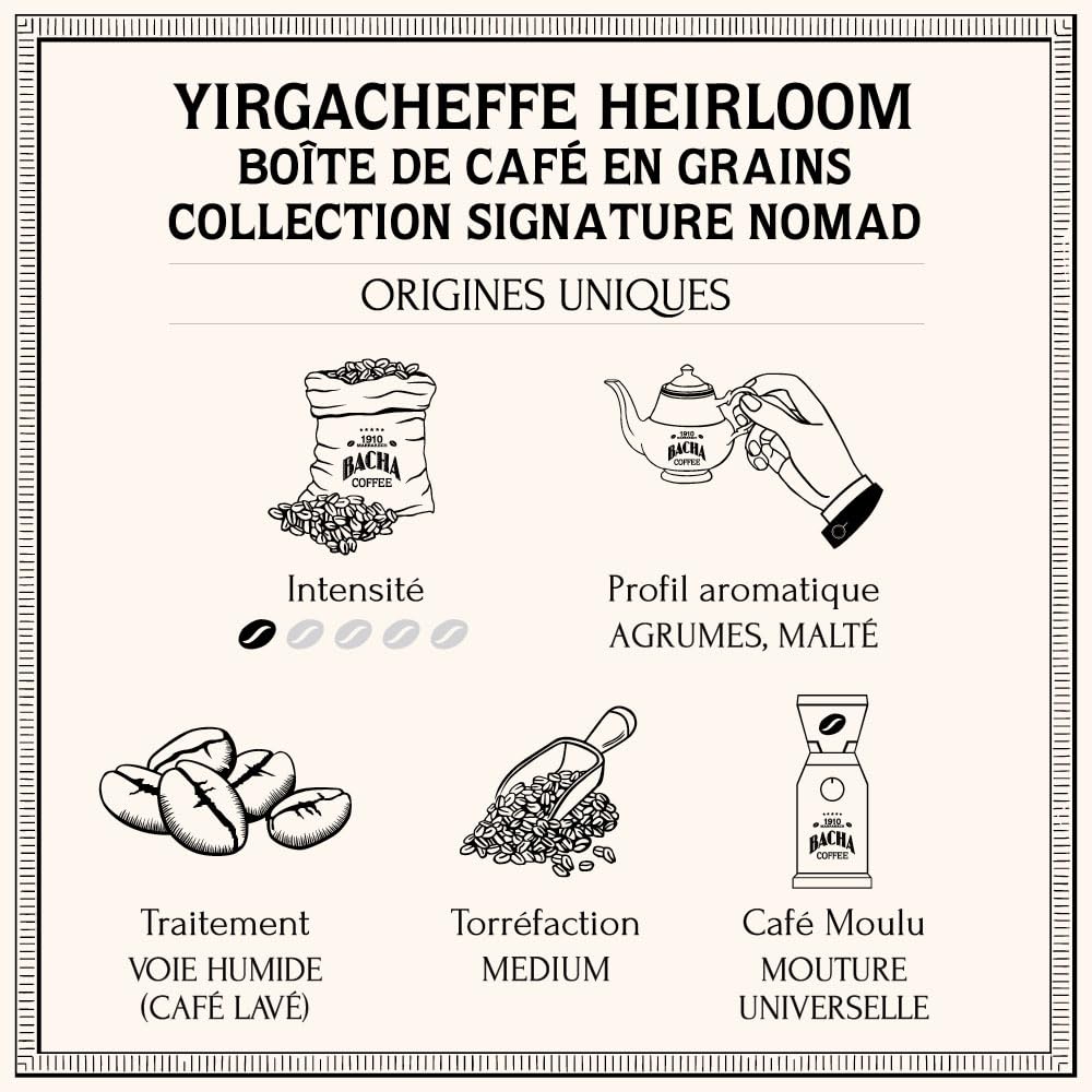 Bacha Coffee - Café Yirgacheffe Heirloom Signature Nomad - 250g