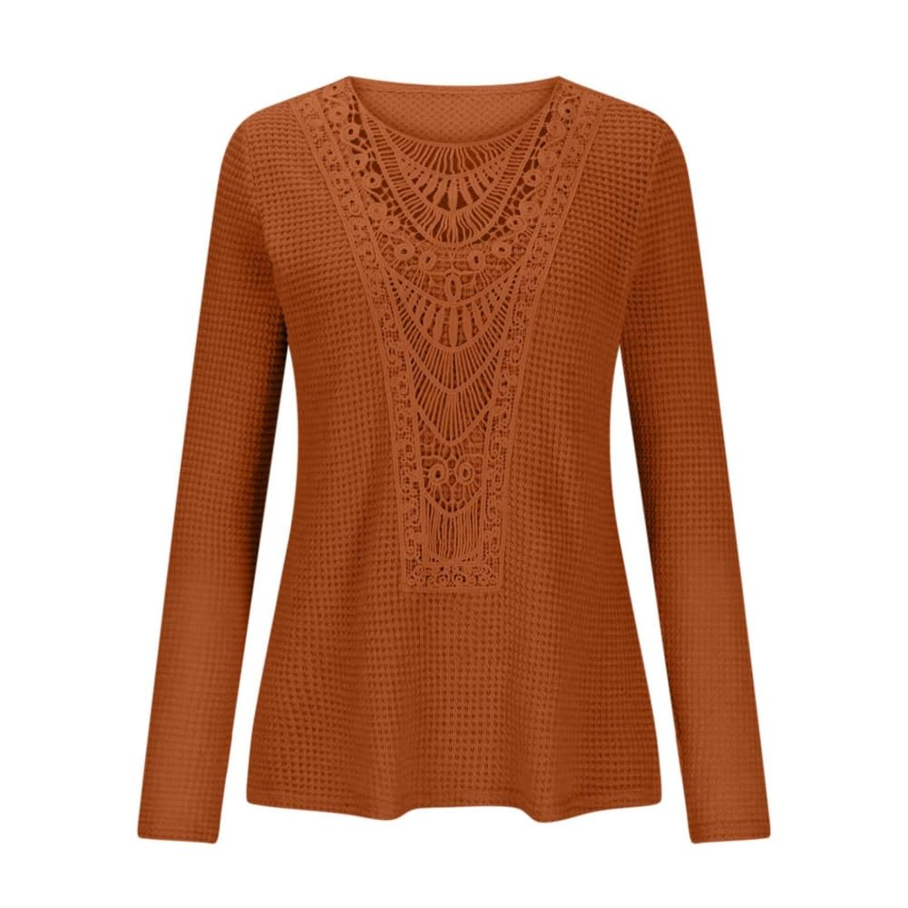 top donna pizzo uncinetto manica lunga elegante casual girocollo tunica lavoro camicetta abbigliamento moda maglione