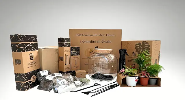 Kit Terrarium Fai Da Te Master: Vetro 26cm, Piante e Attrezzi per Creazioni Naturali