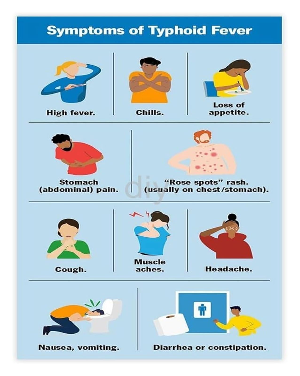 NWPNLXEA Health Information Poster Typhoid Fever Symptoms Educational Guide for Clinic Waiting Room Office Unframed,08x12inch(20x30cm)