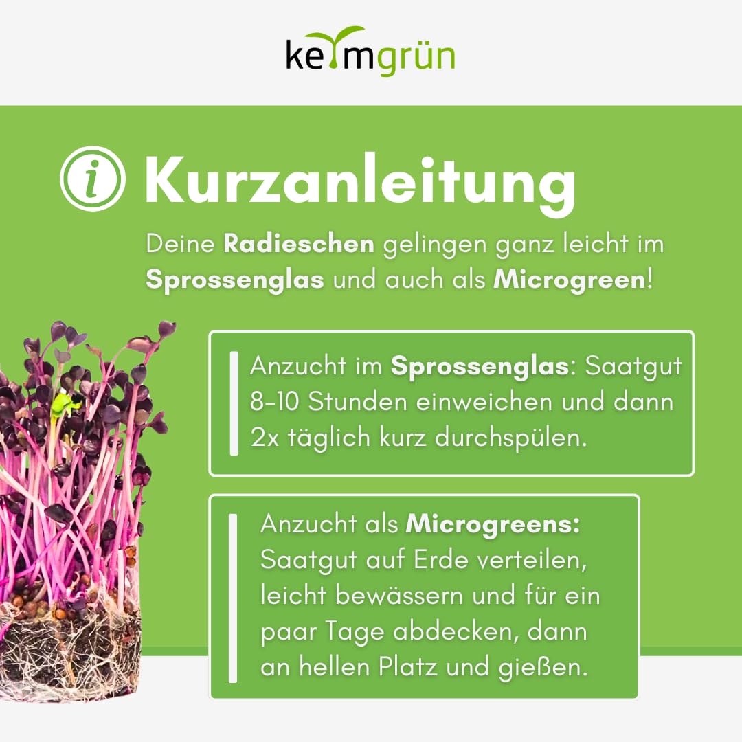 Bio Radieschen rot Samen - Sprossensamen für Sprossenglas oder Microgreens, Plastikfreie Verpackung, Regional Abgefüllt in Deutschland, Wähle zwischen 250g, 500g und 750g