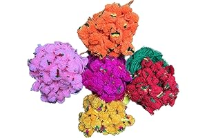 Gota Rakhi for All Festive Occasions