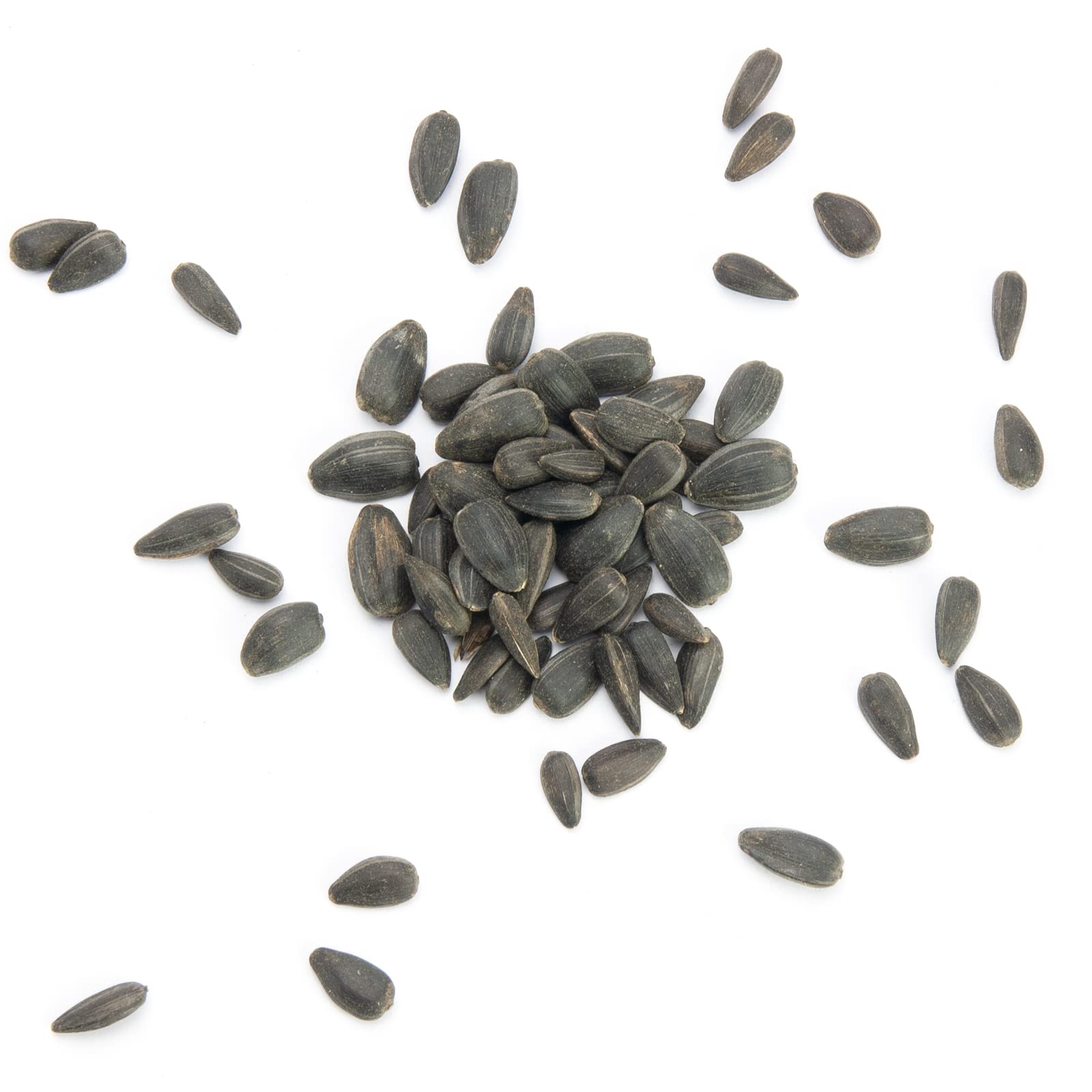 Sonnenblumenkerne schwarz, Vogelfutter 25 kg