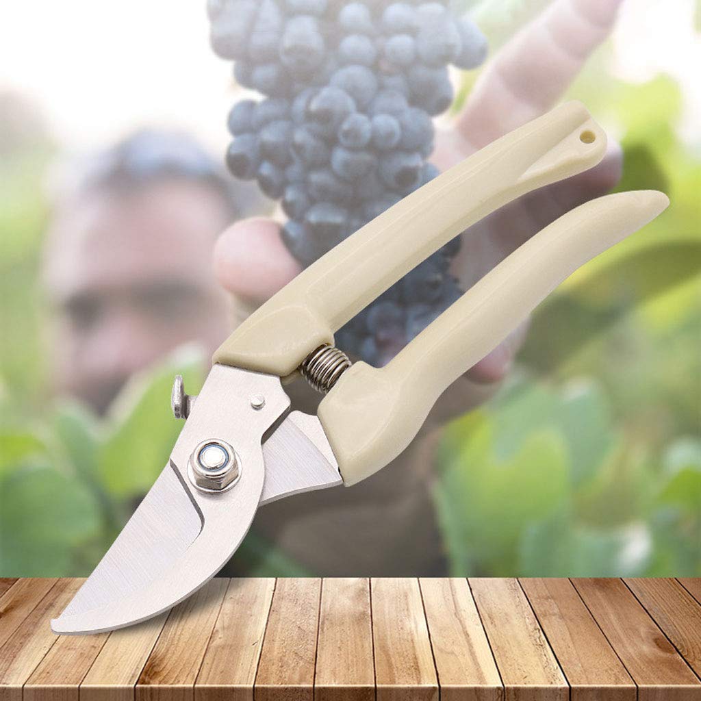 Cesoie per potatura, Cesoie per potatura a Mano, Cesoie per Rami di Frutta, Cesoie per Rami Spessi, Cesoie per invasatura, Manico in Gomma Antiscivolo (A 175 * 45 * 2,5 mm)
