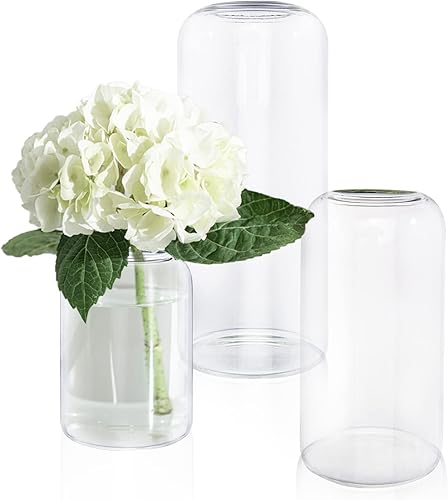 Juego de 3 jarrones de cristal, juego de floreros pequeños transparentes, modernos jarrones de borosilicato soplados a mano para centros de mesa de