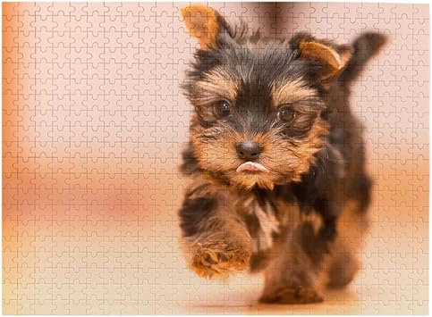 Amazon Co Jp ヨークシャー テリアの子犬 500ピース ジグソーパズル ピクチュアパズル 木製の風景パズル 人物 動物 風景 漫画絵のパズル 大人の子供のおもちゃ家の装飾風景パズル Puzzle 52 2x38 5cm ホーム キッチン