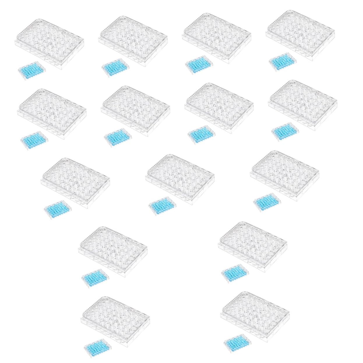 Gatuida 15pezzi Piastra Di Coltura Cellulare Trasparente Da Pozzetti Contenitore Per Esperimenti Di Laboratorio Strumento Per Coltura Tissutale Materiale Vergine Design Con Coperchio Per