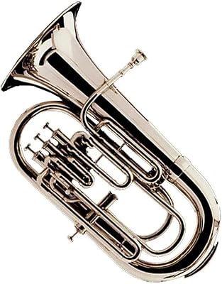 Sai Musical India 2016 Heavy Duty