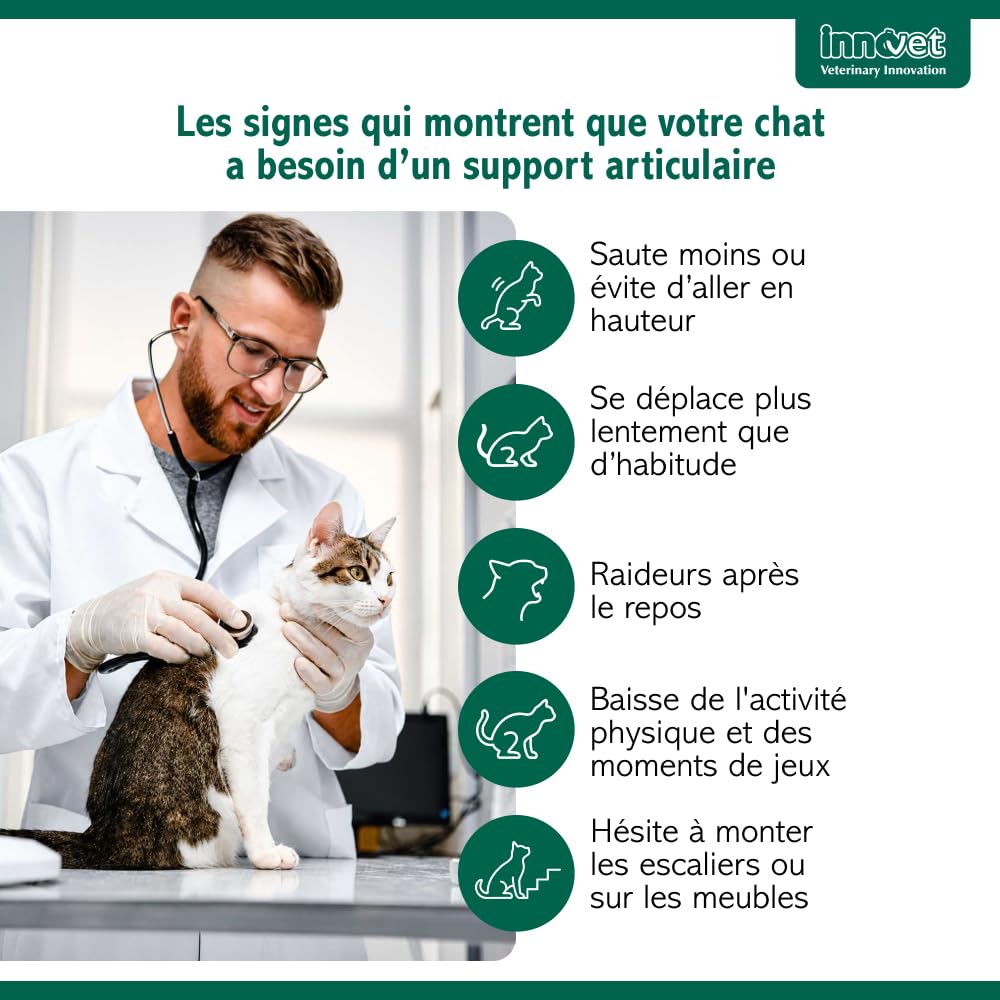 Innovet Condrostress (+) Cat - Complément Alimentaire Articulaire pour Chats Adultes et Âgés, Confort Articulaire, Mobilité, Collagène, Chondroïtine, Acide Hyaluronique, Facile à Donner - 30 gélules
