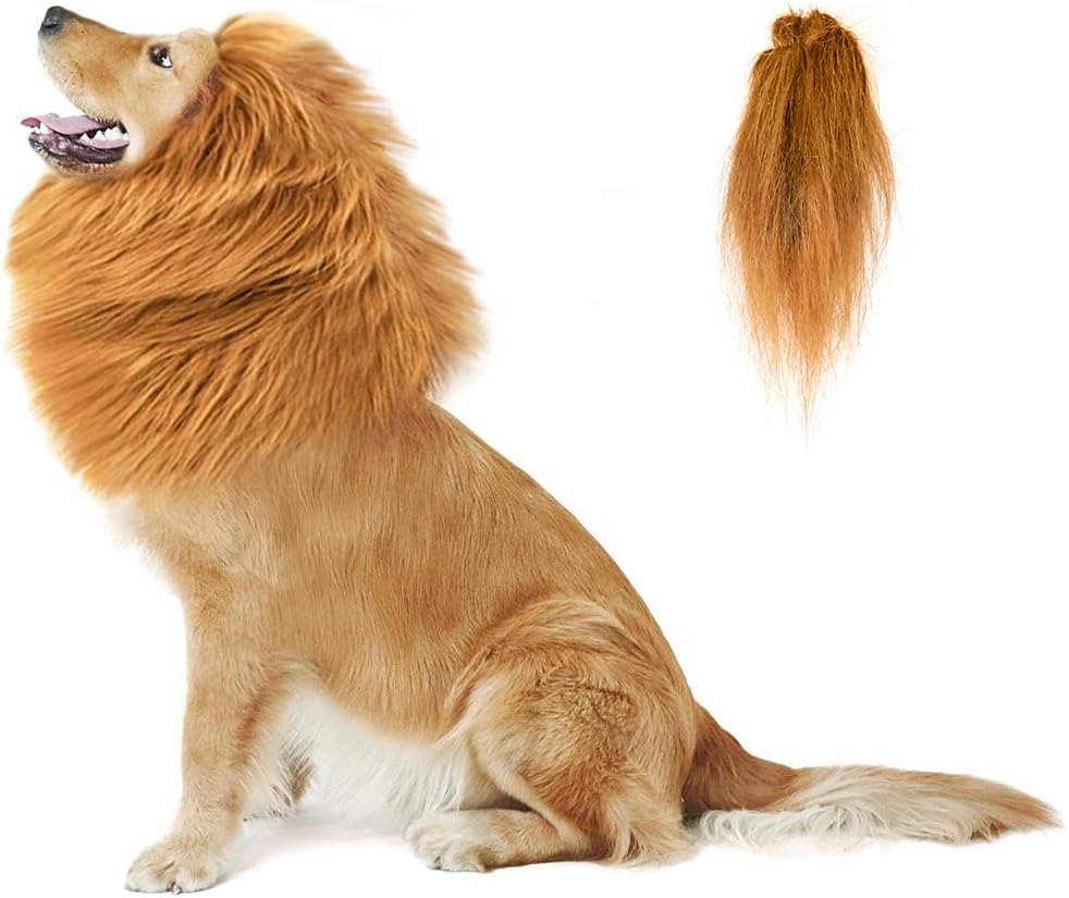 dog dressed like lion