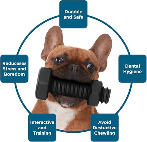 Miniatura 5 de BLACKDECKER Juguete masticable para perros duradero limpieza de dientes resistente casi indestructible para perros pequeños medianos y grandes