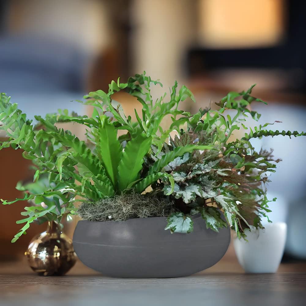 ECOBO 5.9" inches Eco-Friendly Round Planter Indoor/Outdoor use, Durable, Versatile & Lightweight, Designed by Brazilian Artisans, Contemporary All-Weather Design –Dark Gray