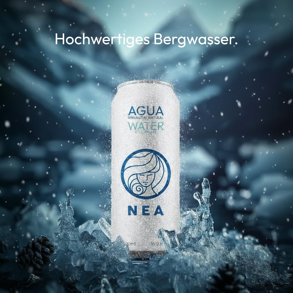 Mineralwasser. NEA-Dosenwasser. Natürliches Mineralwasser – Packung mit 24 Einheiten x 33 cl. Wasser in einer Schachtel mit 24 33-cl-Dosen. Mineralwasser aus der Dose. Mineralwasserpackung 24