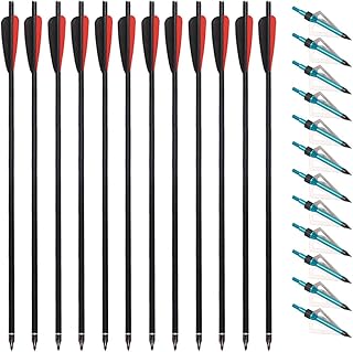 12pcs 20inch Crossbow Arrows Carbon Crossbow Bolts with 4inch Vanes and 12pcs 3 Blades Archery Broadheads 100 Grain Screw-in Arrow Heads Arrow Tips (Arrows with Blue Tips)