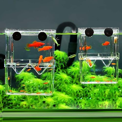 Miniatura 5 de Caja de aislamiento de peces multifunción de acrílico grande Divisor de crianza Contenedor de mantenimiento para acuario de peces pequeños camarones