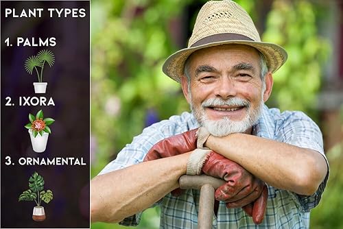 Miniatura 3 de Gardenera - Alimento prémium para plantas ornamentales para palmeras, ixora y plantas ornamentales para todas las estaciones (8-4-8) - Cultiva un