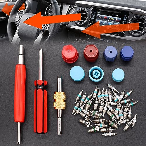 Image of Taiss 59PCS Air Conditioning Valve Core Accessories Kit R12 R134a Refrigeration Tire Valve Stem Cores with Valve Core Rmover Tool HVAC AC System Seal Caps Kit F-092