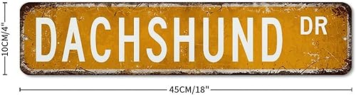 Miniatura 2 de Letrero de calle de metal con texto en inglés "Dachshund DR Dachshund D", letrero de calle personalizado, divertido letrero de hojalata con perro
