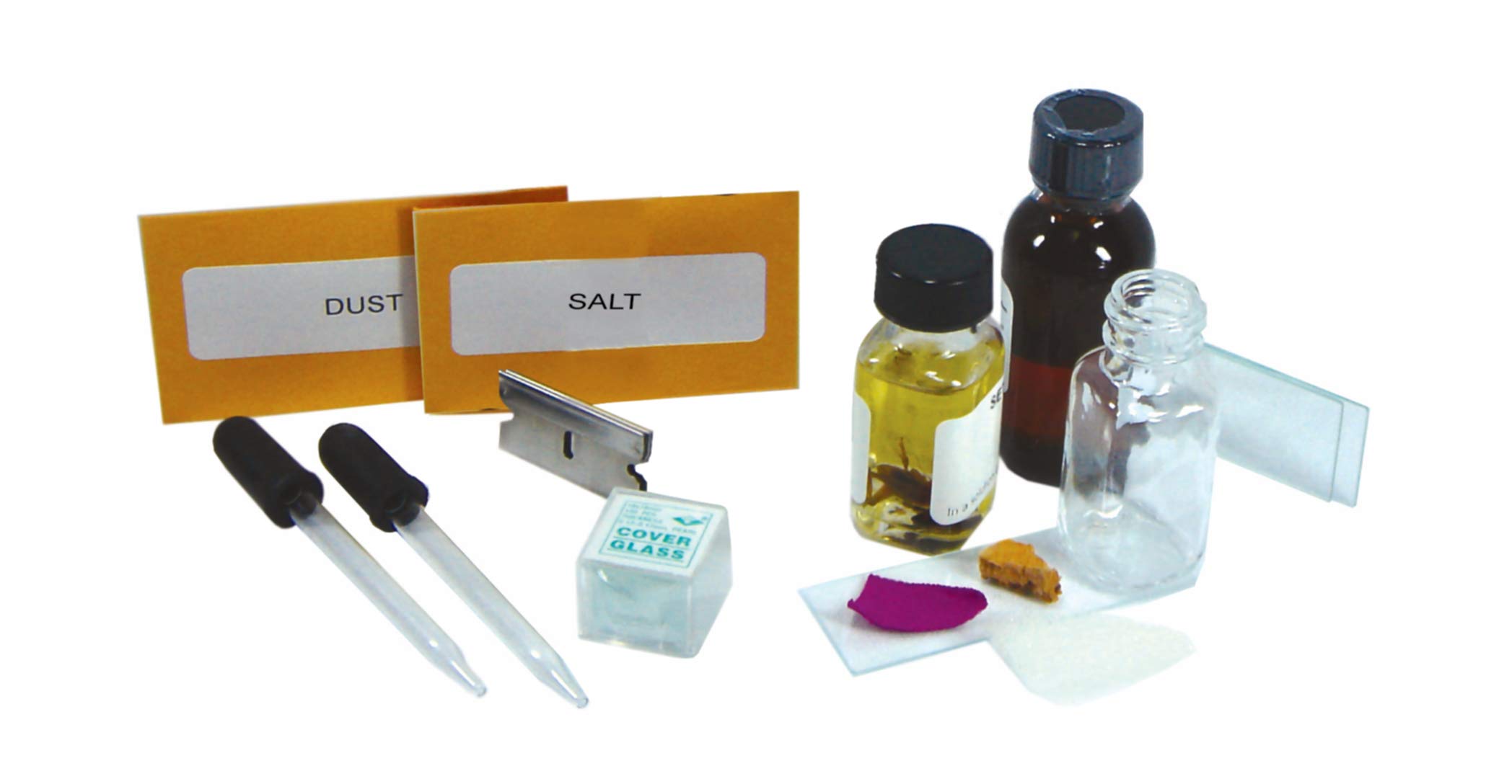 Don't Bug Me Microscope Slide Set