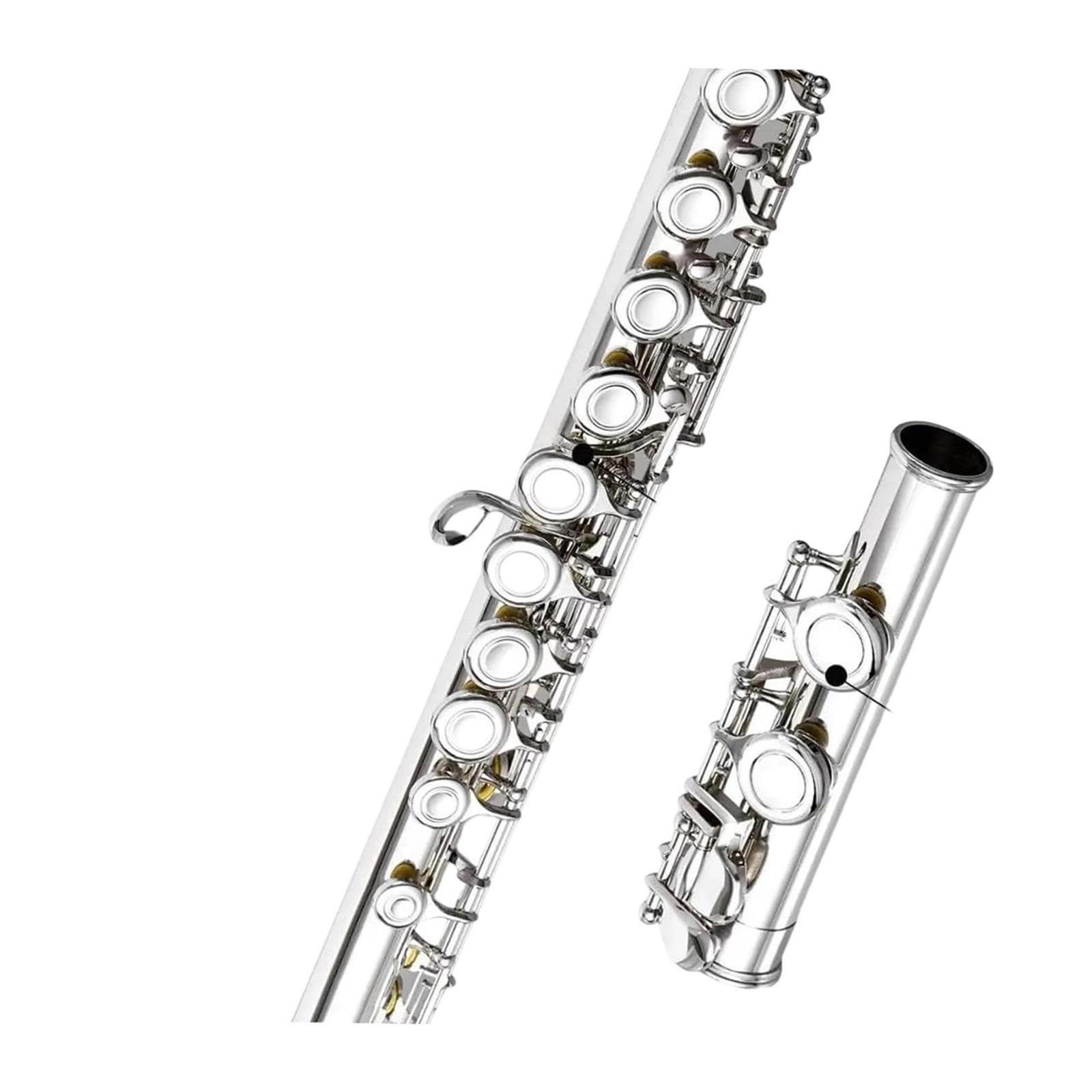 Flute Flauta C de 16 hoyos