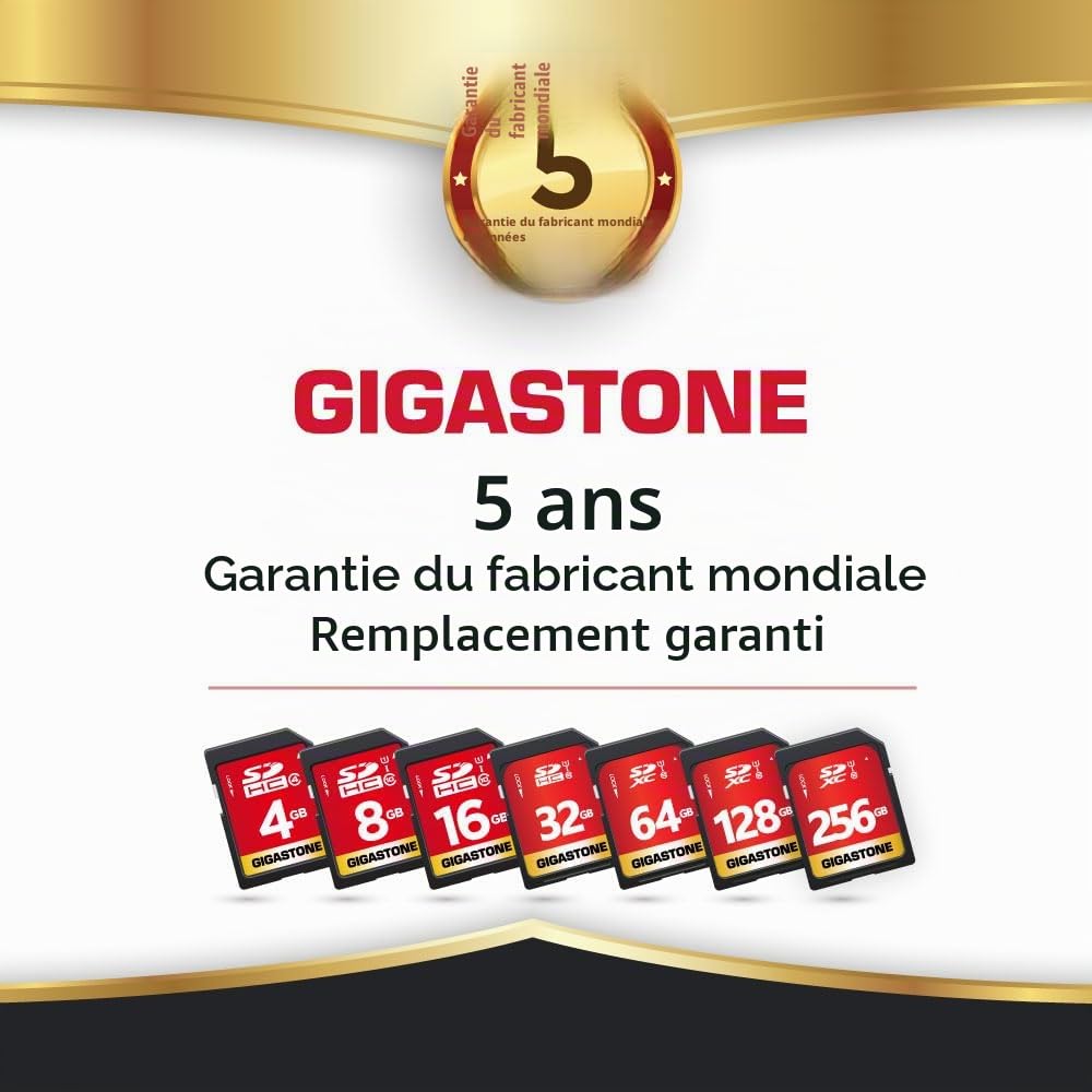 GIGASTONE 32Go SDHC Carte Mémoire, Lot de 5 Cartes, Prime Série, Vitesse jusqu'à 80 Mo/s. pour Photos, vidéos, Musique, fichiers, Caméscope, Caméra, PC, Classe 10 U1 UHS-I, avec 5 Mini étuis