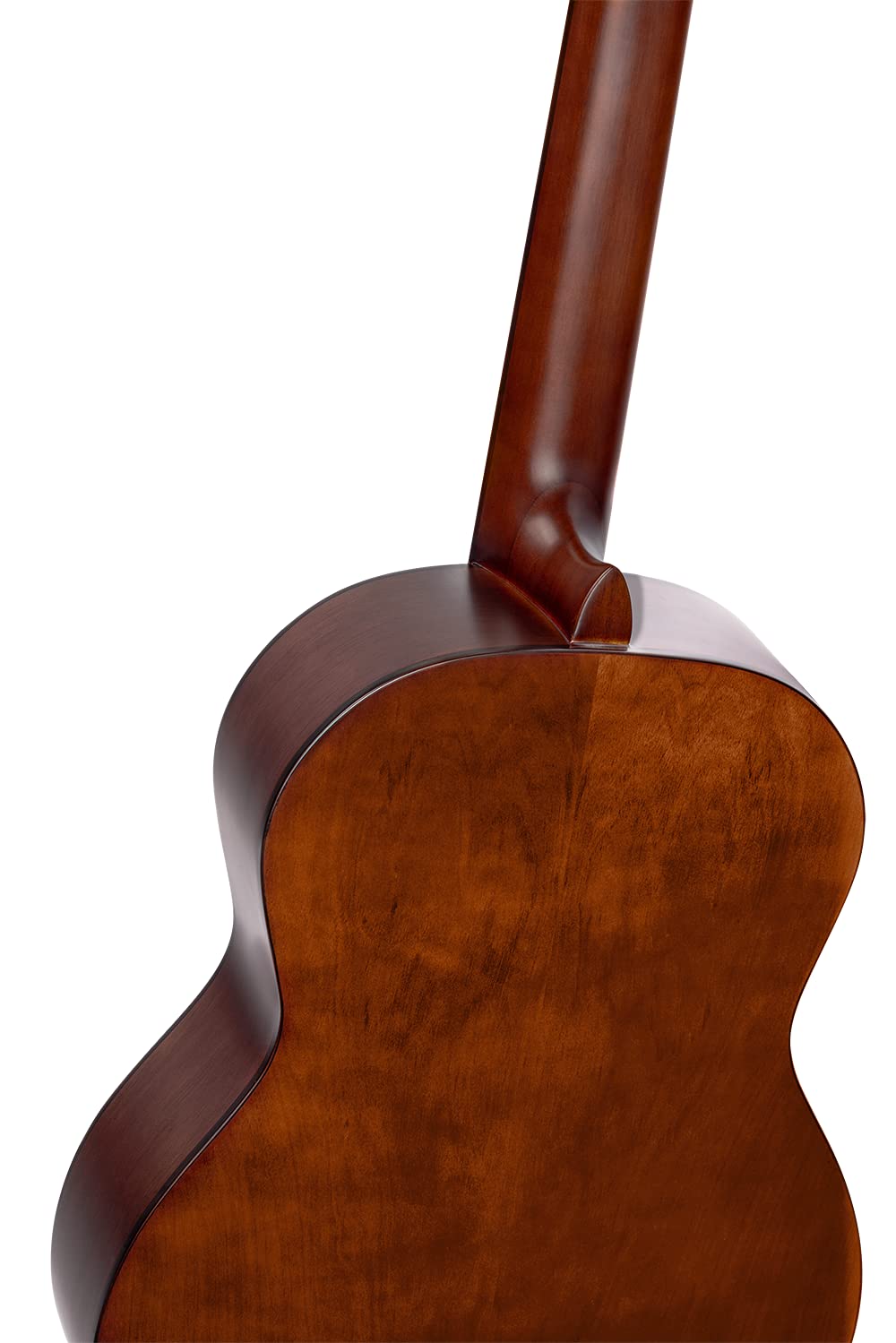 Ortega Guitars Family Series Pro Chitarra Acustica, 6 Corde, Finitura Semilucida, Catalpa