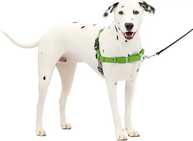 PetSafe Easy Walk Dog Harness - No-Pull Copenhagen Style