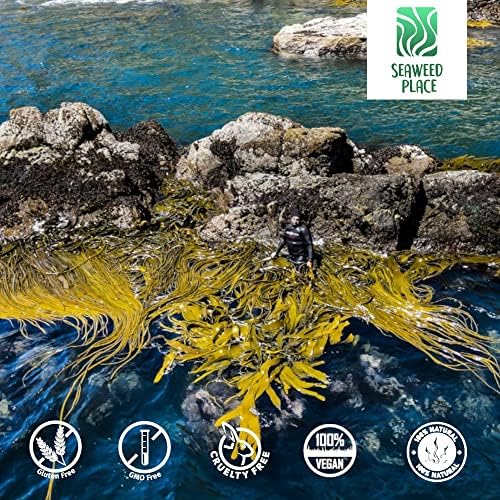 Miniatura 3 de Seaweed Place Suplemento Patagonian Seaweed Shield  Durvillea Antártica  Cochayuyo 100 orgánico y natural - Fuente de vitamina C inulina  90