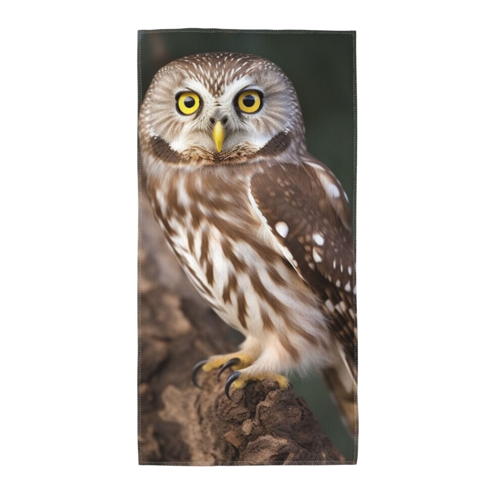 FekiLoot Absorbent Hand Towels 13.8"X27.5" Decorative Bathroom Towel Soft Microfiber Face Towel Wildlife Animal Owl Dish Kitchen Towels for Bathroom Kitchen Hotel Spa Bath Towels