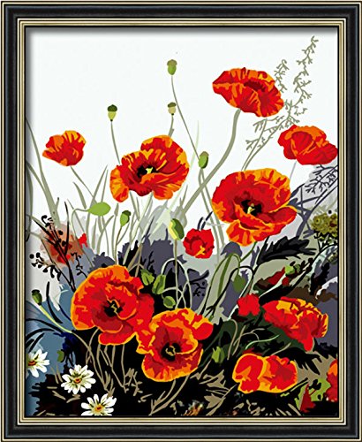 Diy oil painting, paint by number kit- Red Poppy 16*20 inch. by Colour Talk