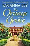 problemas plc orange  The Orange Grove: a mouth-watering holiday romance set in sunny Seville