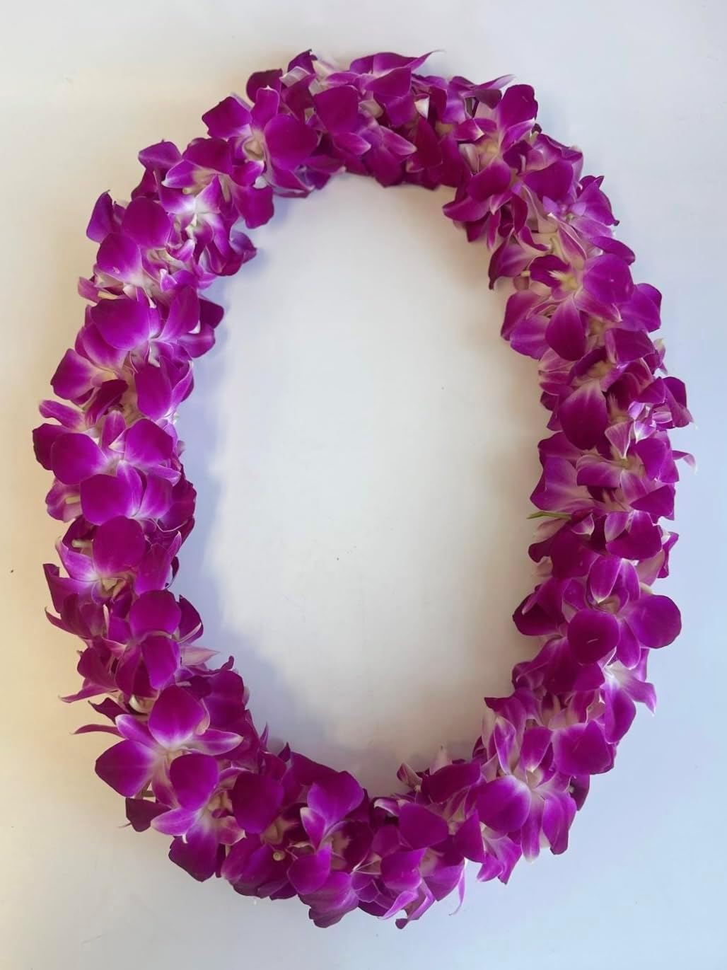 Fresh Orchid Lei – Handmade Dendrobium Double Strand Lei for Class of 2026 – Real Flower Lei for High School or College Graduates (Purple)