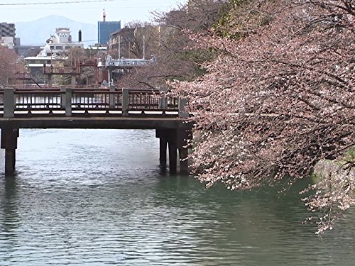 Kyoto, Japan