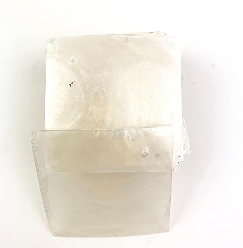 Miniatura 7 de Heyiwell 20 unidades de carcasas redondas con 2 agujeros para decoración del hogar, manualidades, campanillas de viento de 2 pulgadas