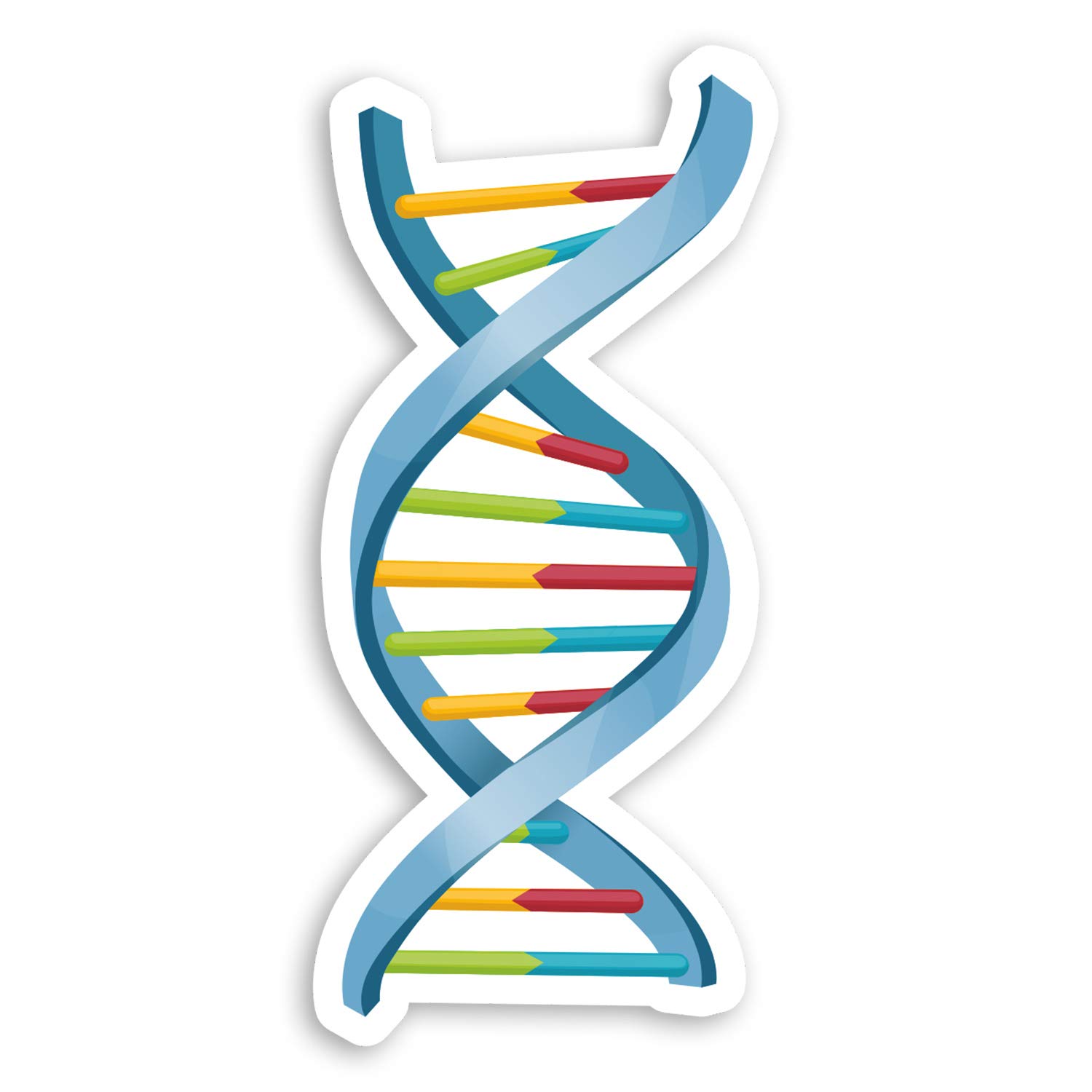 Destination Vinyl Ltd Multi 2 X 10Cm Dna Double Helix Vinyl Stickers - Science Biology Uni Sticker #29056